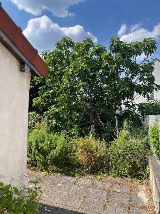 Lovely House Close To Paris Vitry-sur-Seine Bagian luar foto